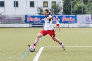 Bild 160 - wBJ Hamburger SV - FC Suederelbe : Ergebnis: 9:0